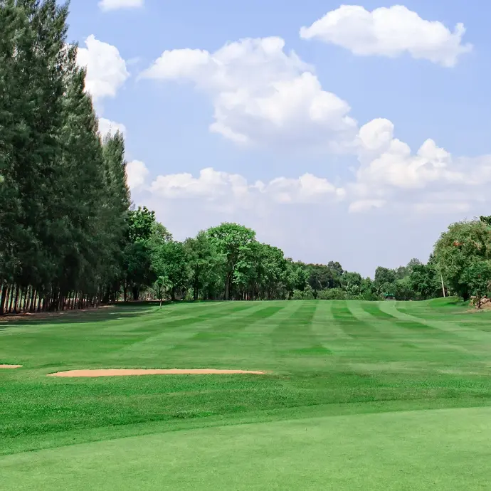 Golf course fairway and roughs